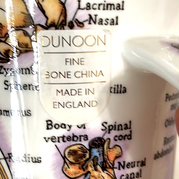 NEW Dunoon Glencoe Bone China Human Body Coffee Cup. - Picture 5 of 8